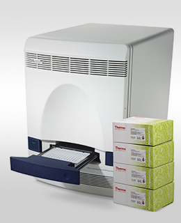 RT PCR  COVID-19 Test